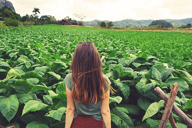 En este momento estás viendo El rapé como medicina